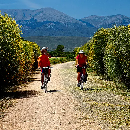 Ruta en bicicleta por la Vía Verde del Tarazonica